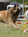 competition