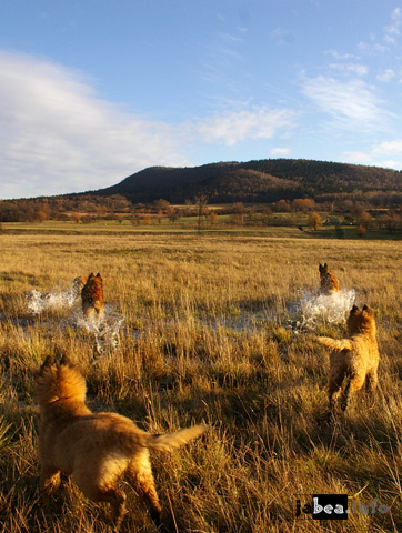 Mine of Radovesice 2007 