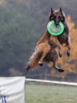 Maiko jumps high