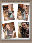 Finnish advertising of Czech beer an beutiful dog :o)