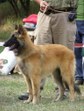 Spot Deabei - VN1, 3.místo.BOG, BIS Puppy- 3.místo!