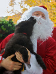 Biting on Santa 