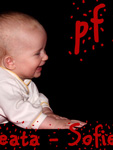 PF 2010