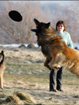 Not everybody plays dogfrisbee like that....