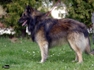 4,5 roku