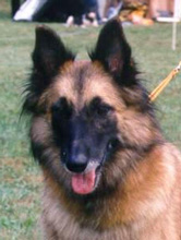 EMY Adina z Kovárny