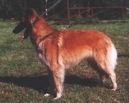 DIVA Deabei