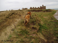 Slains Castle
