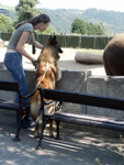 Jalap Deabei in the ZOO