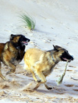 Play on the beach in Peterheadu