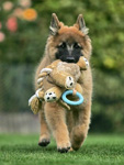 I've got it. It's mine...