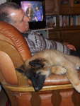 Boring TV... 