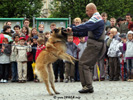 The Rag day in Sluknov 2005