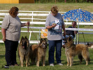 Deabei - 3rd Best Kennel (Killi Deabei, Kiko Deabei, Cosey Mo Deabei) 