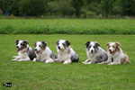 Didi, Athos, Aramis, Artagnan, Aportos 