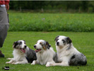 Didi, Athos, Aramis