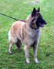 Agnes - 2 roky