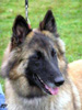 Agnes - 2 roky