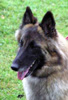 Agnes - 2 roky